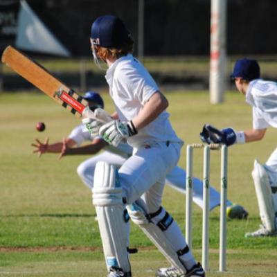 Episode 5: Will Substitutes Work in Cricket