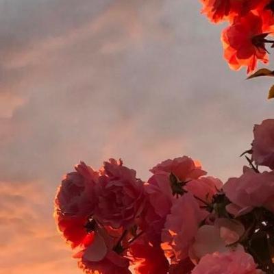 Crime and Comedy- The Pizza Hut Murder Crime and Comedy- The Pizza Hut Murder