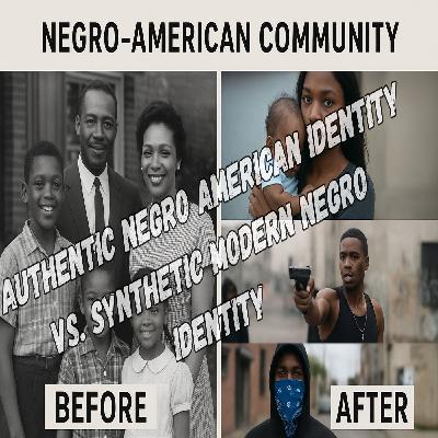 Authentic Negro American Identity vs Synthetic Modern Negro Identity II Authentic Negro American Identity vs Synthetic Modern Negro Identity II