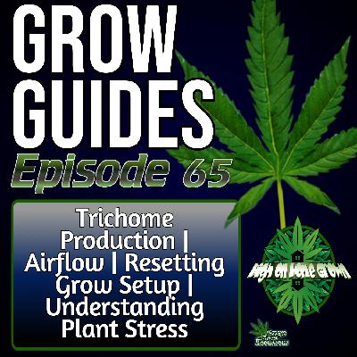 How to Boost Trichomes Naturally | Mastering Airflow | Resetting Your Grow Between Runs | Understanding Plant Stress | Grow Guides Ep. 65