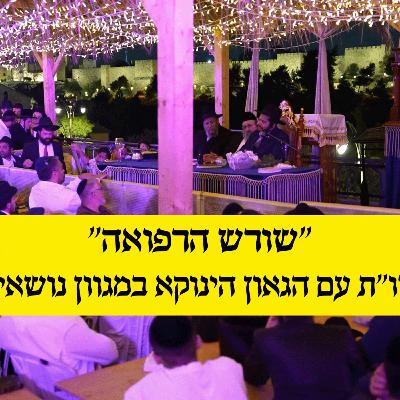 שורש הרפואה - שו"ת עם הגאון הינוקא במגוון נושאים
