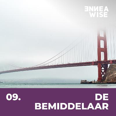 Type 9: De Bemiddelaar