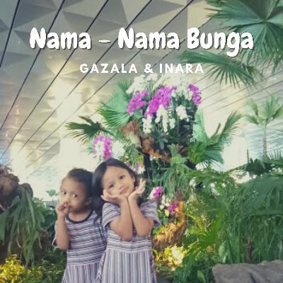 Episode #14 Belajar Nama - Nama Bunga Episode #14 Belajar Nama - Nama Bunga