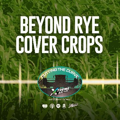 Farming Podcast | Cover Crop Strategies Beyond Rye | XtremeAg Farming Podcast | Cover Crop Strategies Beyond Rye | XtremeAg