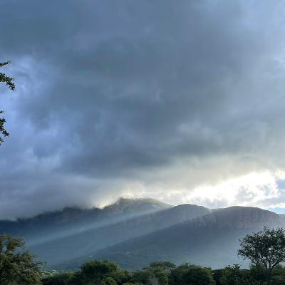 天気に生きる 〜南アフリカのサバンナと宮古島のマンゴー畑から〜