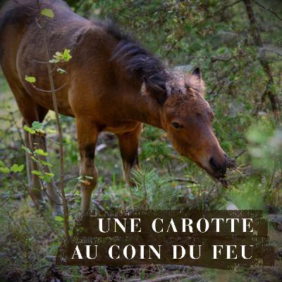 L'arrangement d'antécédents