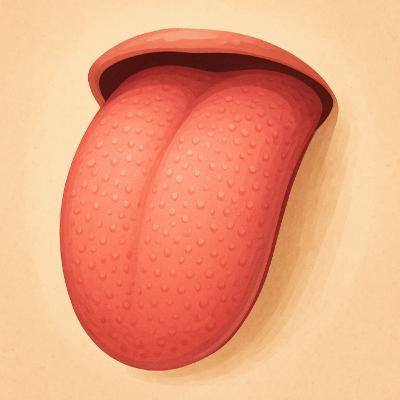 Episódio 14 – Silêncio Interior Episódio 14 – Silêncio Interior