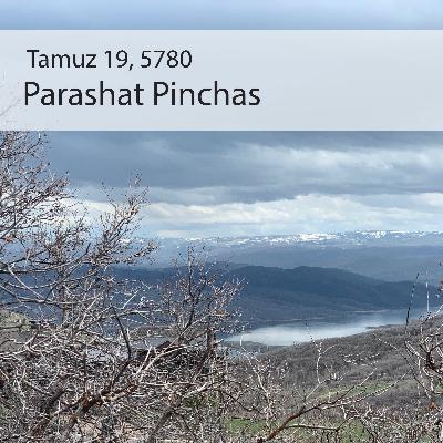 AE: Torah for the Earth - Pinchas AE: Torah for the Earth - Pinchas