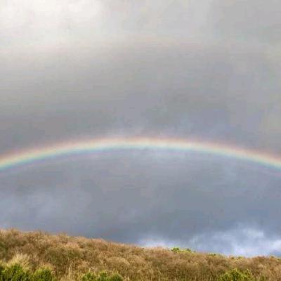 Jesus stillt den Sturm in uns und um uns herum