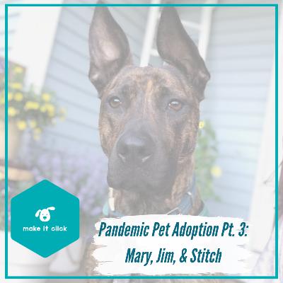 Pandemic Pet Adoption Part 3 - Mary, Jim, and Stitch