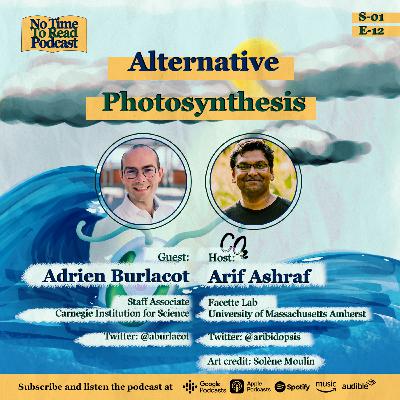 S1E12 | Adrien Burlacot | Alternative Photosynthesis S1E12 | Adrien Burlacot | Alternative Photosynthesis