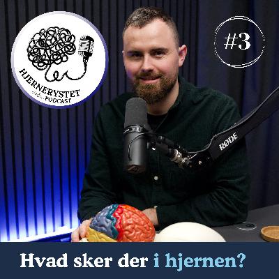 Hvad sker der i hjernen ved hjernerystelse?