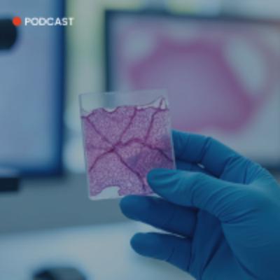 From sensitivity to selectivity: transforming mass spectrometry imaging with targeted solutions