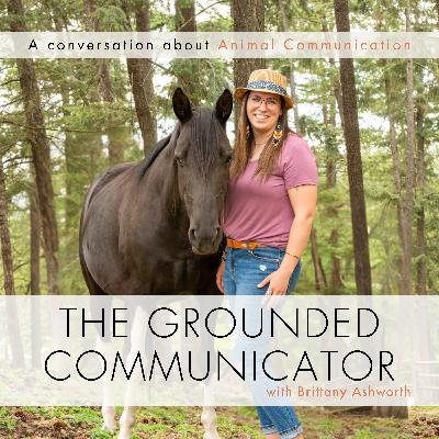 Breanne & Stitch: Navigating an Uncertain Transition