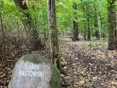 Trwają zapisy na jesienne spacery po Wzgórzach Piastowskich
