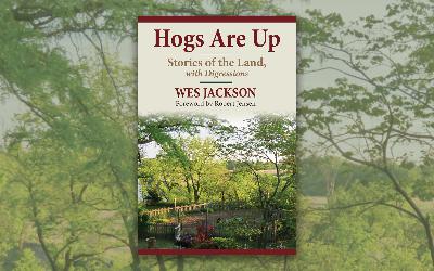 Reviewing Wes Jackson's Latest Book: Hogs Are Up Reviewing Wes Jackson's Latest Book: Hogs Are Up