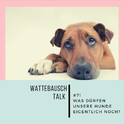#71 Wattebauschtalk: Aufregerfolge - Was dürfen unsere Hunde eigentlich noch?
