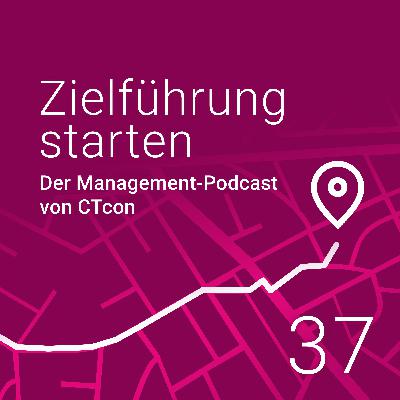 Silo-Denken überwinden – Prof. Dr. Michael Faustino Bauer über cross-funktionale Zusammenarbeit