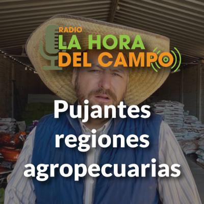 Programa del 010325: Pujantes regiones agropecuarias Programa del 010325: Pujantes regiones agropecuarias