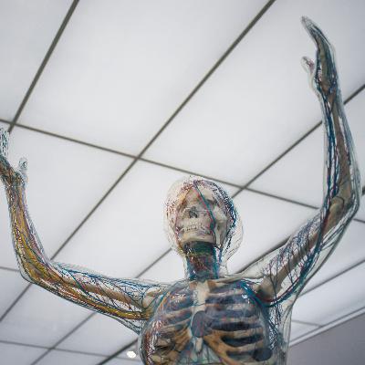 Ep. 3 - Cómo Triplicar tu Productividad e Inteligencia Artificial en Medicina