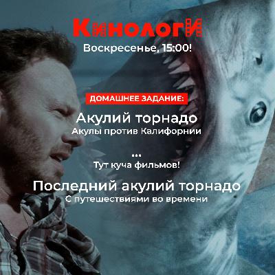 Кинологи 20250316. Спешл «Акульего торнадо» Кинологи 20250316. Спешл «Акульего торнадо»