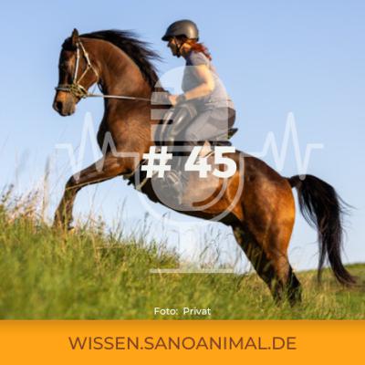 Sanoanimal Podcast #45 - Pferdefütterung mal anders braucht Mut! Ein Gespräch mit Annika Rupp