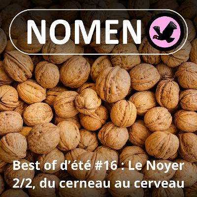 BEST OF D'ÉTÉ #16 : La Noix 2/2, du cerneau au cerveau