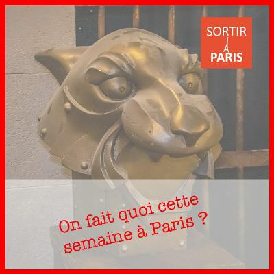 Best of de la semaine du 31 juillet au 6 août 2023 Best of de la semaine du 31 juillet au 6 août 2023