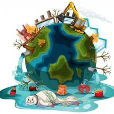 Tipos de contaminación🍂