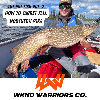The Pre Fish Vol 2 // How to Target Northern Pike In The Fall