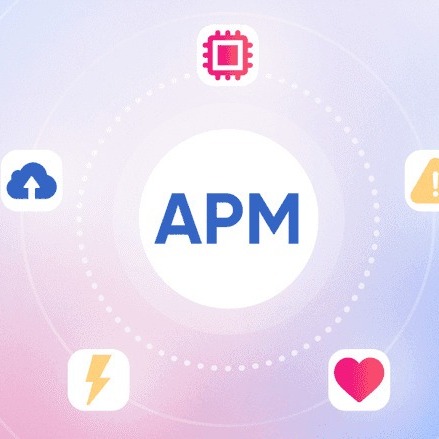 Maximizing App Efficiency with Application Performance Management