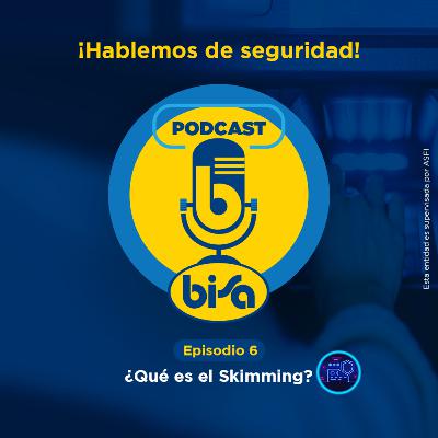 E6 T1 ¿Que es el Skimming? E6 T1 ¿Que es el Skimming?