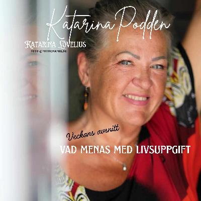 224 Vad menas med livsuppgift