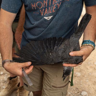 Planeta vivo - Seguimiento fauna salvaje - 12/09/25 Planeta vivo - Seguimiento fauna salvaje - 12/09/25