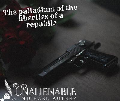 #16.5 - Best Pro Gun Argument Ever (2019) Part 5: 14th Amendment - Due Process #16.5 - Best Pro Gun Argument Ever (2019) Part 5: 14th Amendment - Due Process