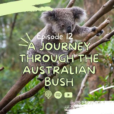 A Journey Through the Australian Bush