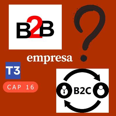 t3 cap 16. Empresas B2B #puisss