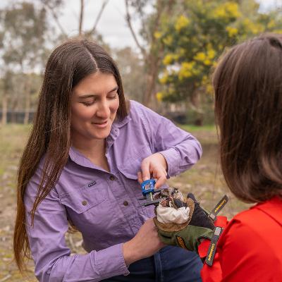 Episode 14 Phd. Candidate Kelly Williams-Kelly: From Theater to Mammalogy and studying Stick-nest Rats!!!