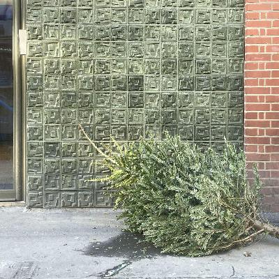 Handling all the waste from Christmas week! Handling all the waste from Christmas week!