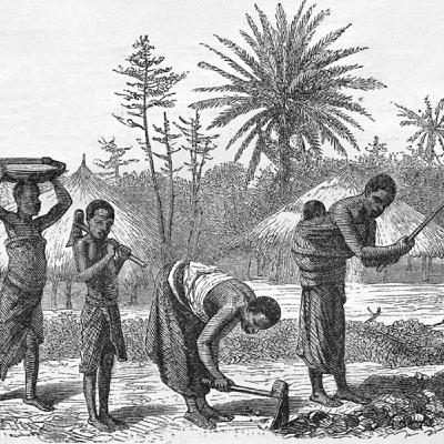 Los esclavos de África Occidental y Centro Occidental