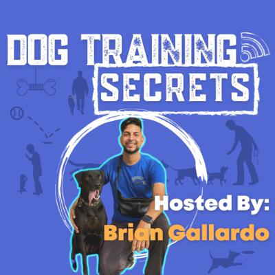 Training your puppy not to chase cats