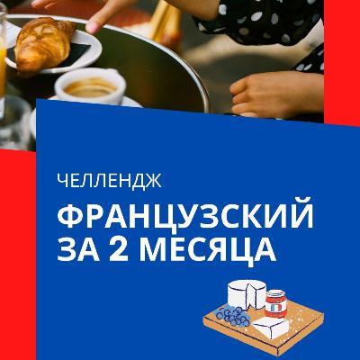 Французкий для судьи за 2 месяца