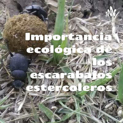 Importancia ecológica de un escarabajo estercolero