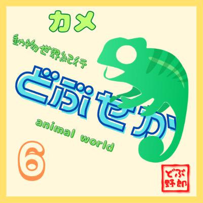#6 カメ～甲羅はあばら骨～