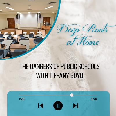 The Danger of Public Schools