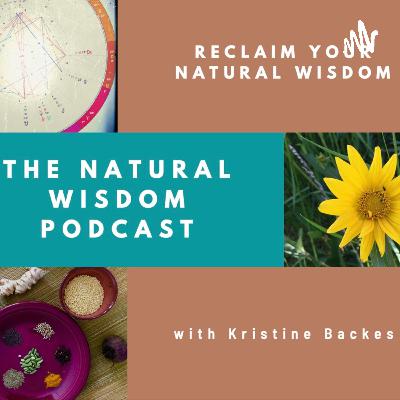 Life Lessons from the Wilderness