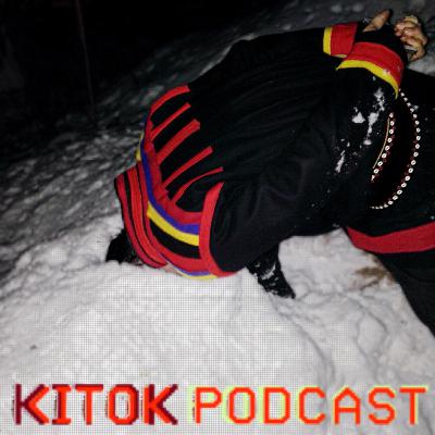 #7 Svanattacken, Anders Sunna & Videoinspelning