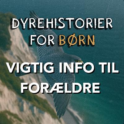 Information til forældre og pædagoger