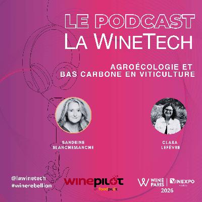 Agroécologie et bas carbone en viticulture