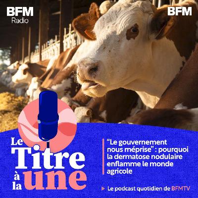"Le gouvernement nous méprise" : pourquoi la dermatose nodulaire enflamme le monde agricole